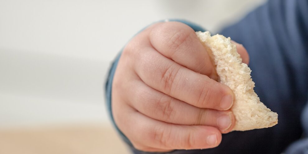 toddler-hand-4055612_1920